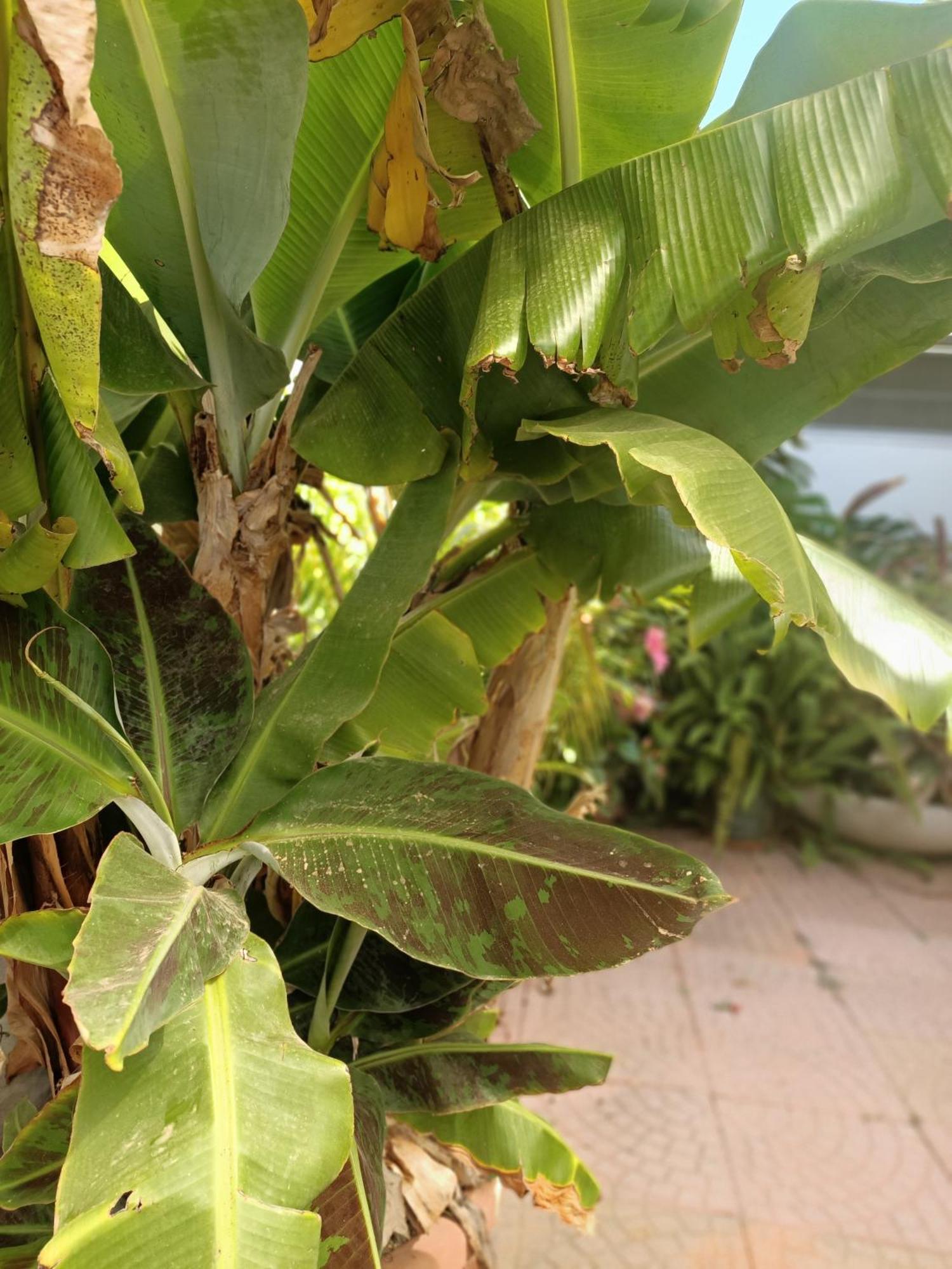 Sant'Andrea  Summer Loft מראה חיצוני תמונה