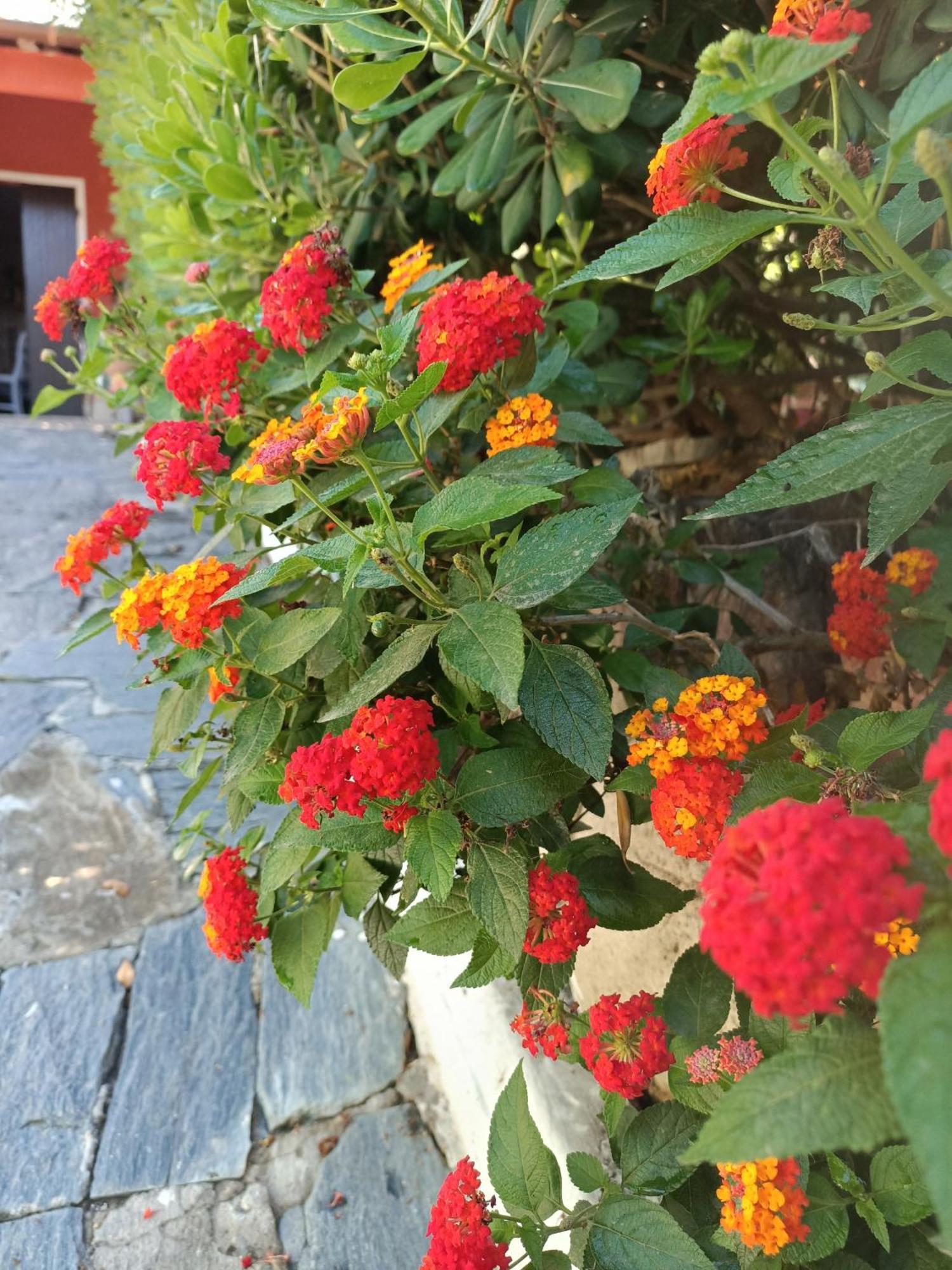 Sant'Andrea  Summer Loft מראה חיצוני תמונה