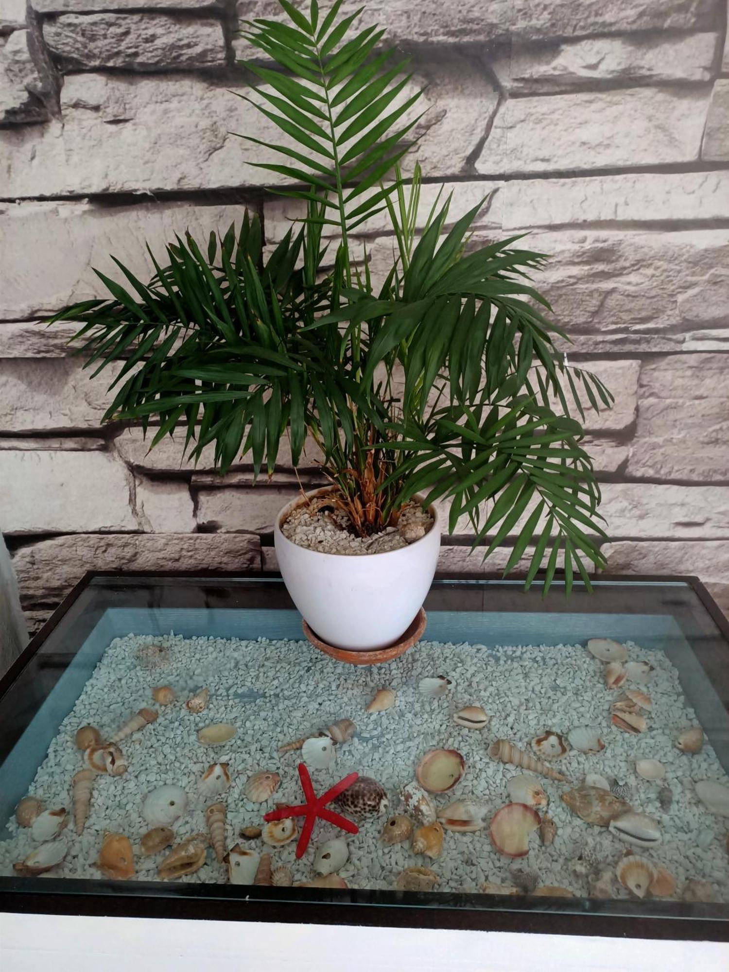 Sant'Andrea  Summer Loft מראה חיצוני תמונה